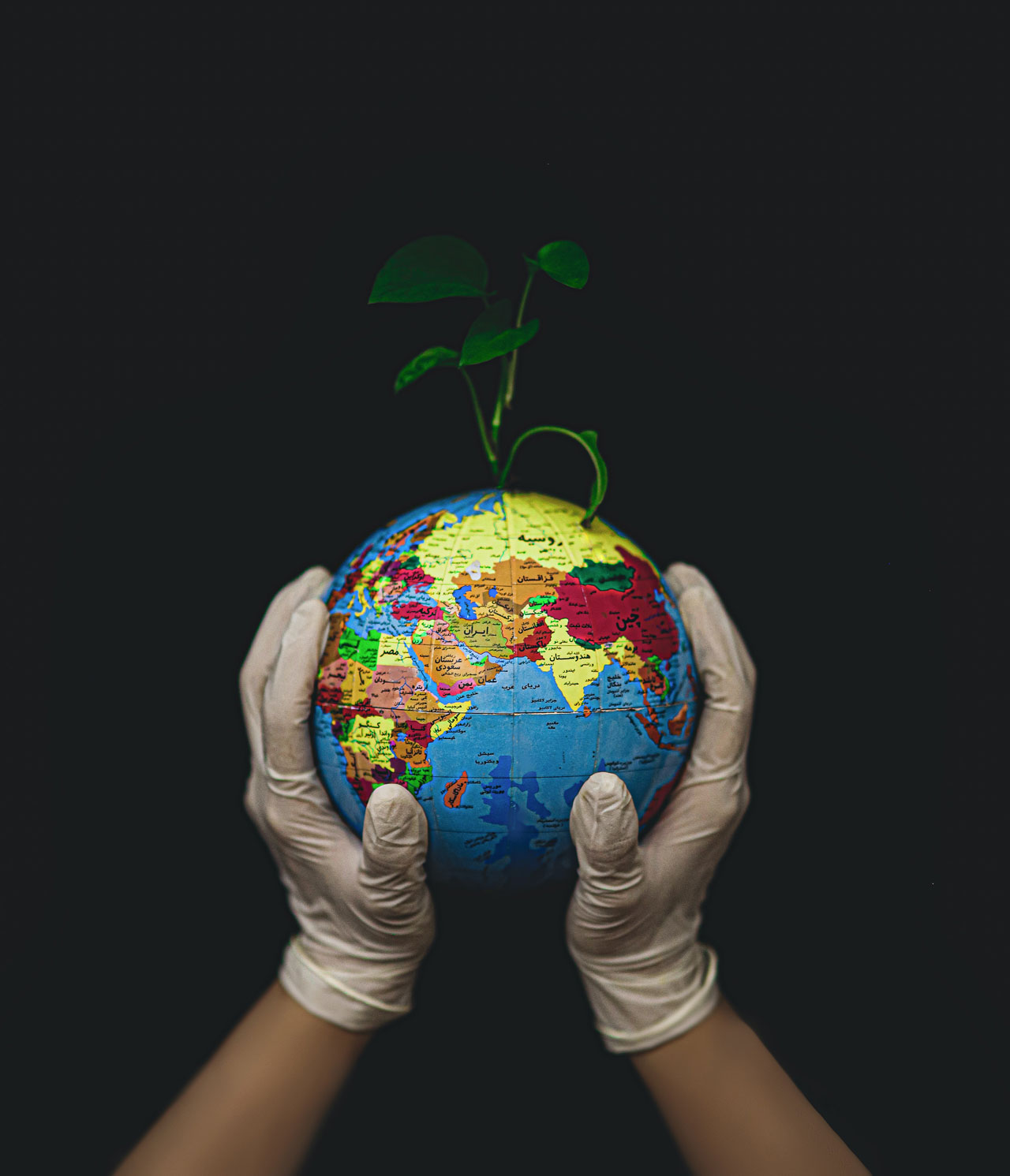 Hands holding earth. Symbolic of taking better care of the planet.